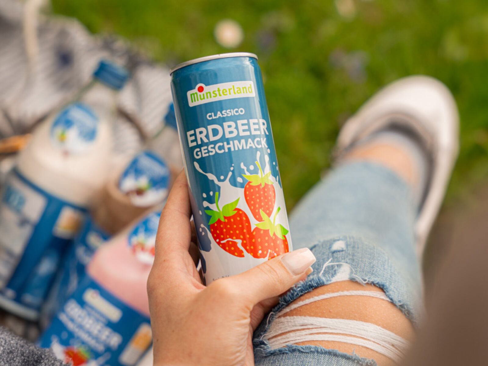 Portfolio Lafayette Mittelstand Capital      