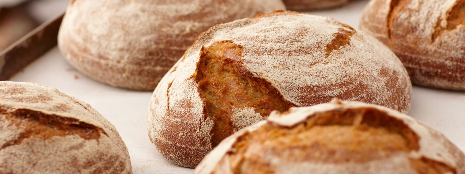 Details Lafayette Mittelstand Capital      